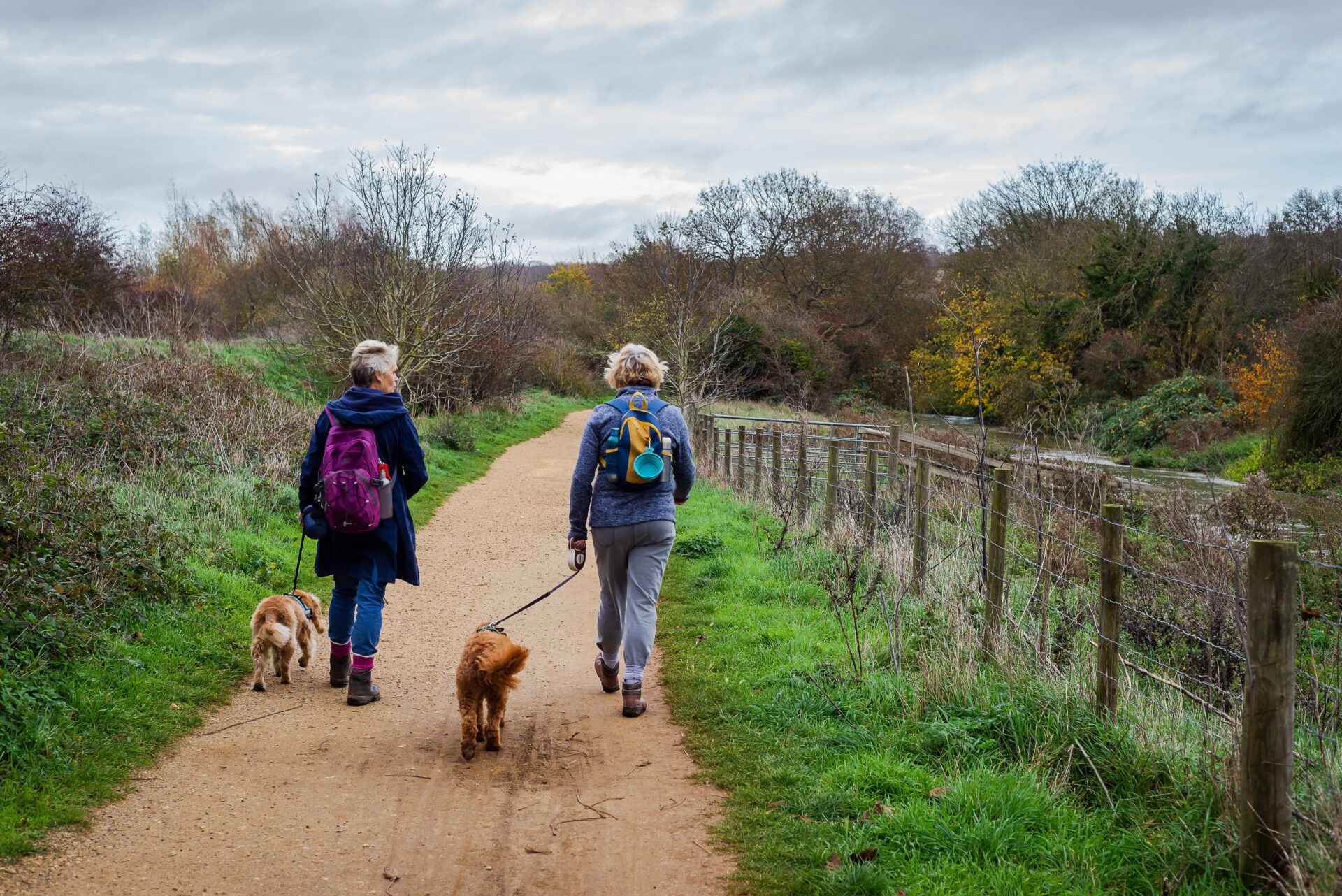 Two people walk their dogs along a country path
