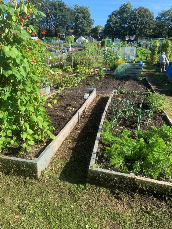 An allotment