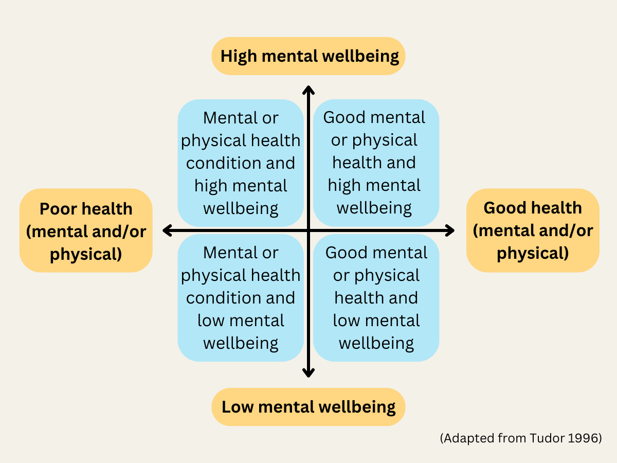 A diagram of the dual continuum model