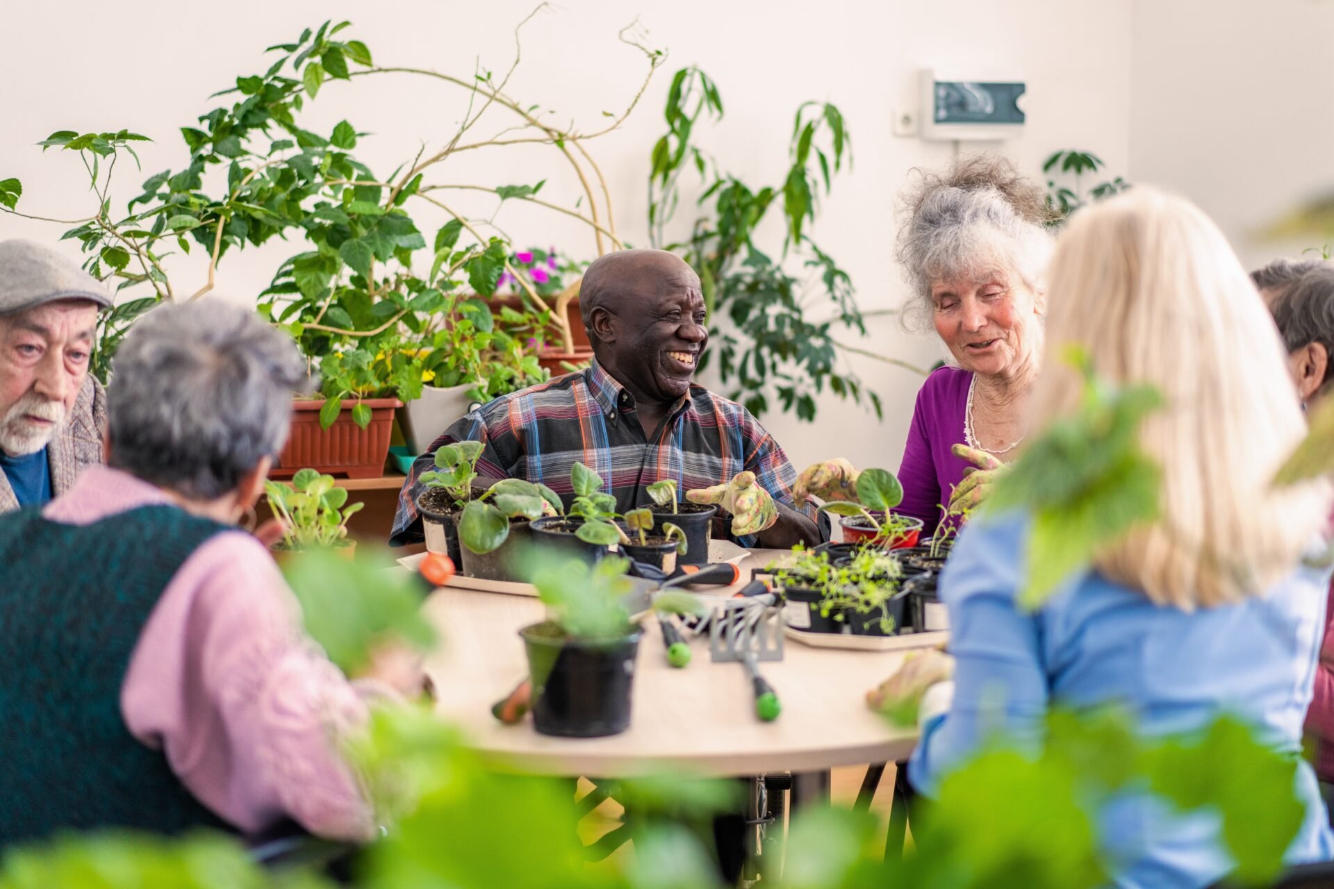 A group of people sitting at a table full of plants they talk together.