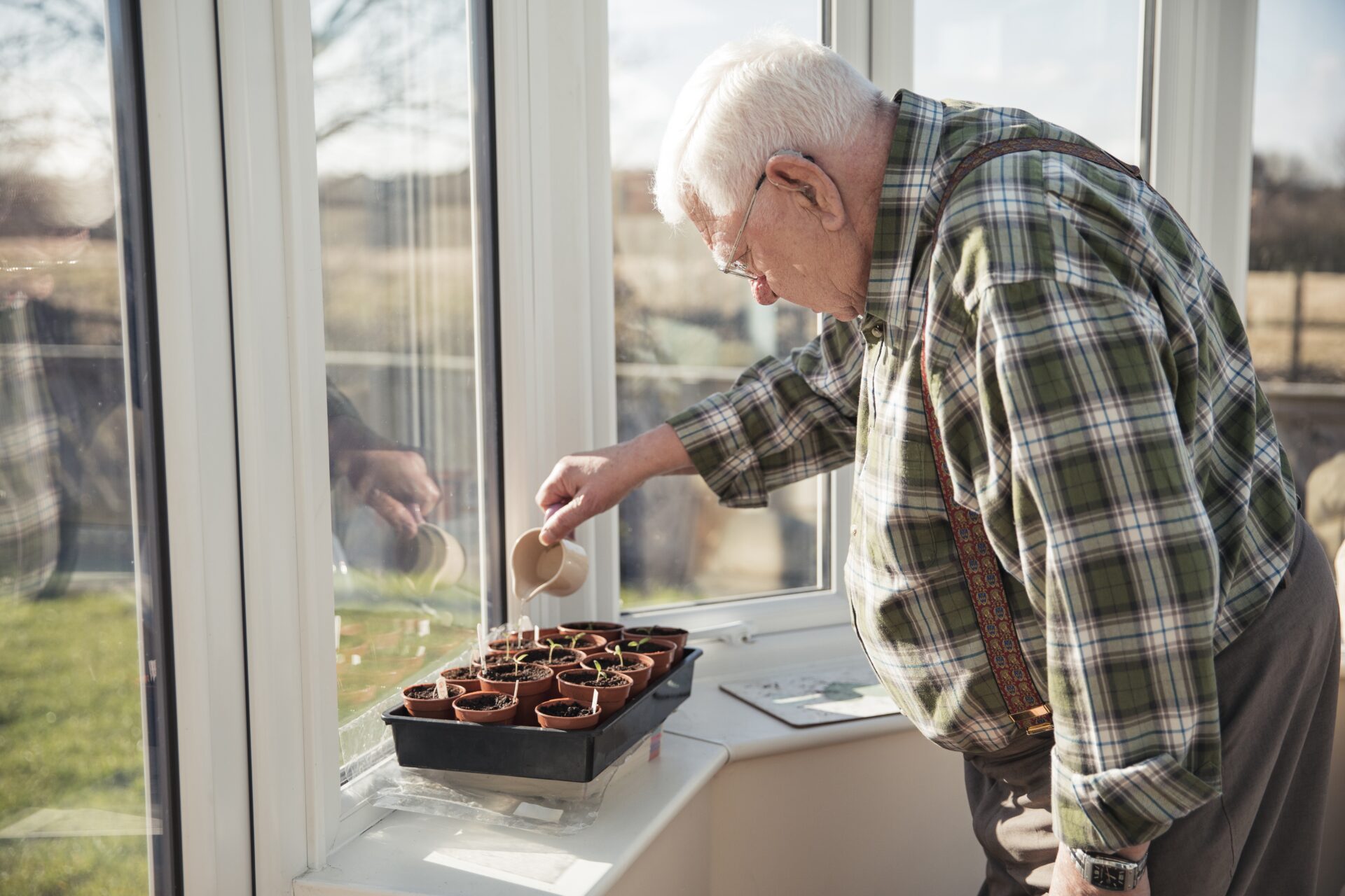 A senior man watering a tray of plants in his conservatory.