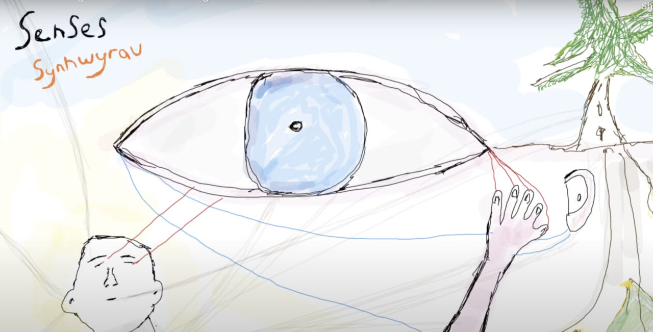 A still image taken from the 'Senses' video. A line drawing of an eye in the centre, with a person, a tree and 'Senses / Synhwyrau' in the background.