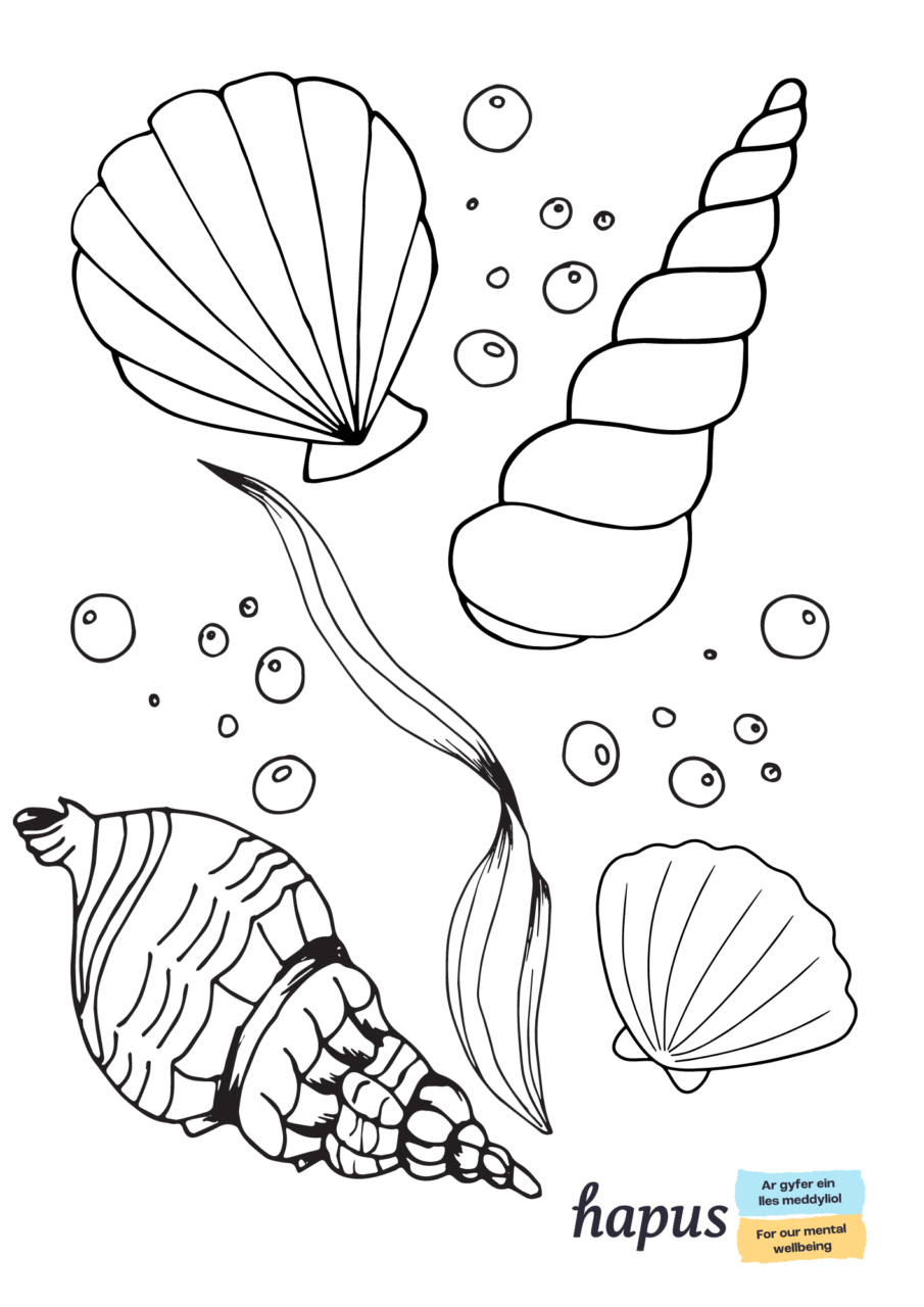 A colouring in sheet with black and white outlines of different shaped shells.