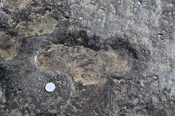 Human footprints of adults and children from around 3,000 years ago.