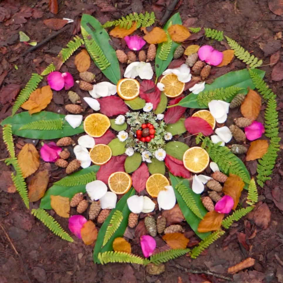 Leaves, orange slices, flower petals, pine cones and flowers arranged in a circular pattern on the ground.