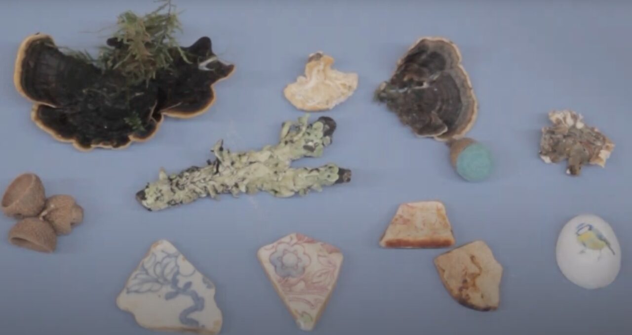 Pieces of lichen, broken china and acorns arranged on a blue table.