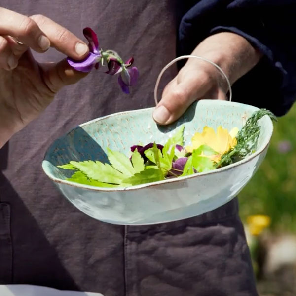 Close up of a hand holding a light blue bowl with different leaves and flowers in it. The other hand is holding a small purple flower.
