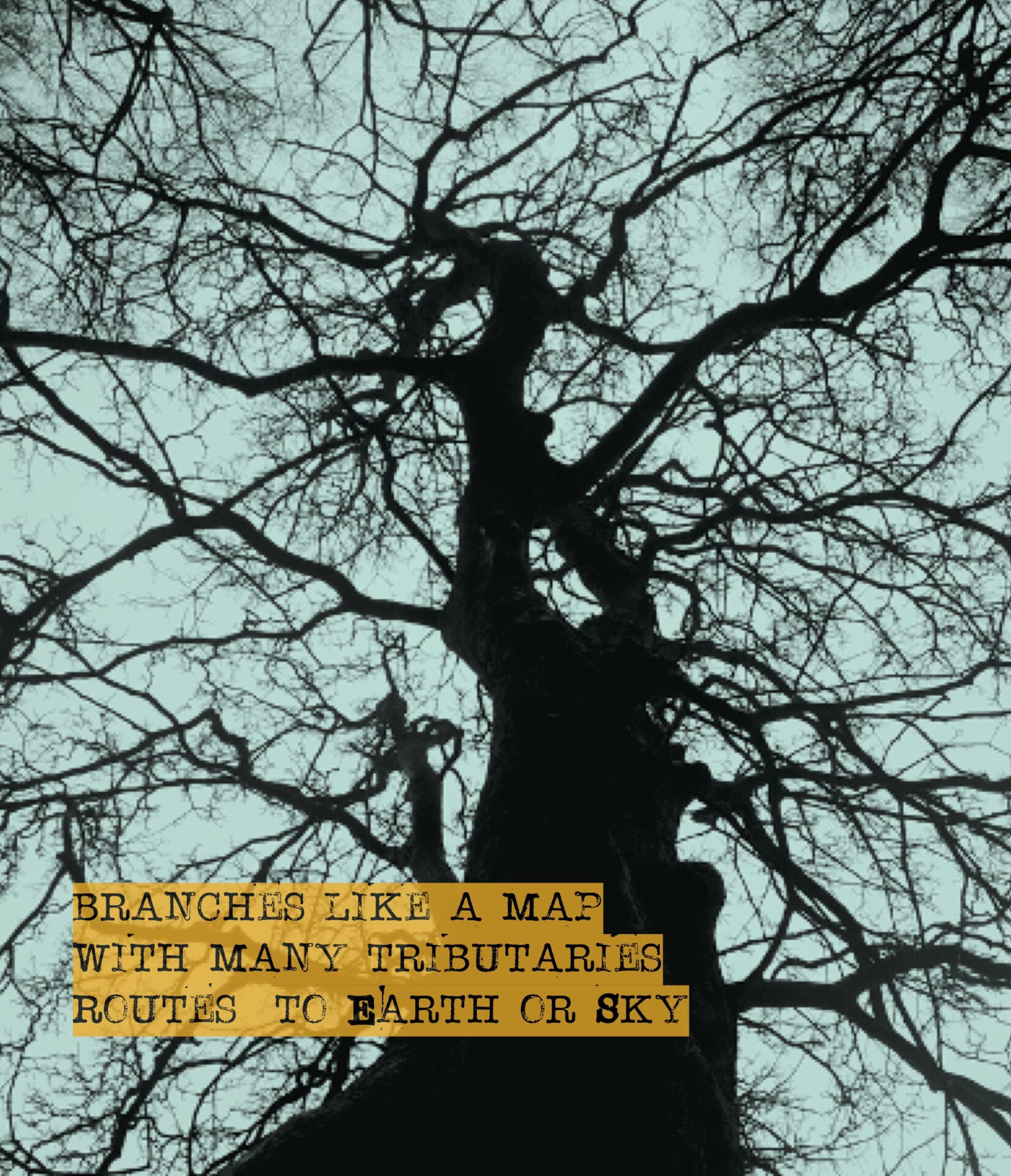 Low-angle shot of a tree at dusk. The sky is a pale blue colour. In the bottom left hand corner are the words 'Branches like a map with many tributaries route to earth or sky' against a yellow background.