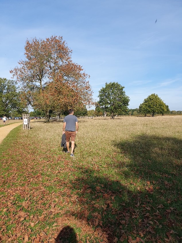 Connecting with nature by strolling through a local park