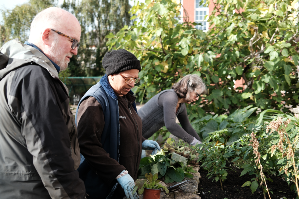 Picture of community gardening group