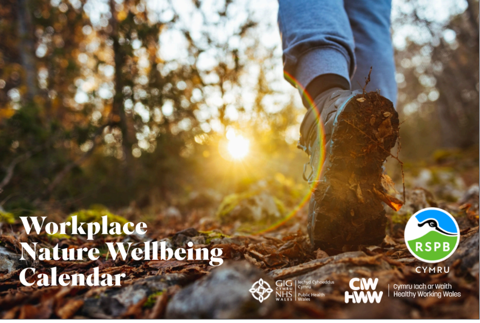 Image of front cover of the 'Nature Wellbeing Calendar'